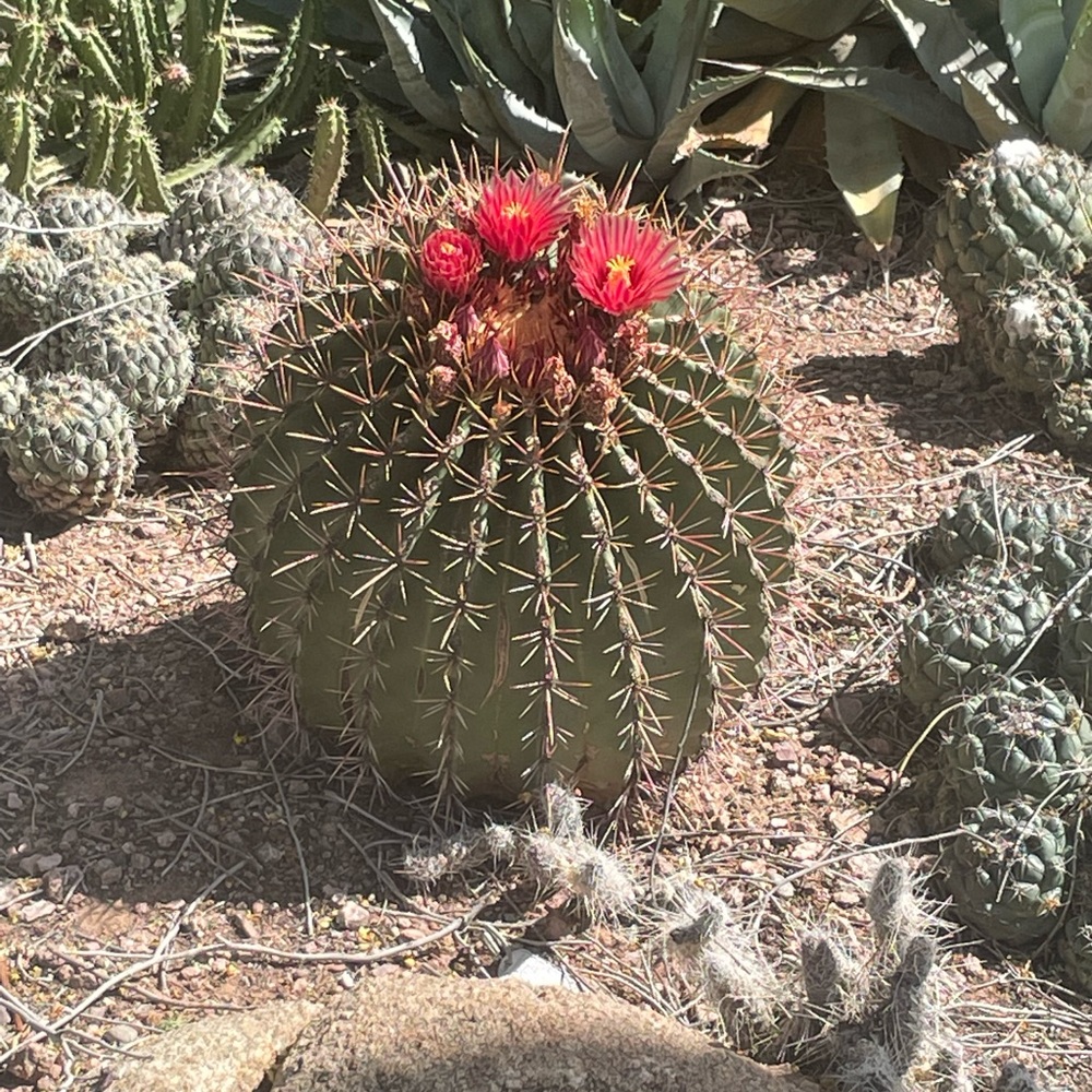 Meet your Posher, Heidi